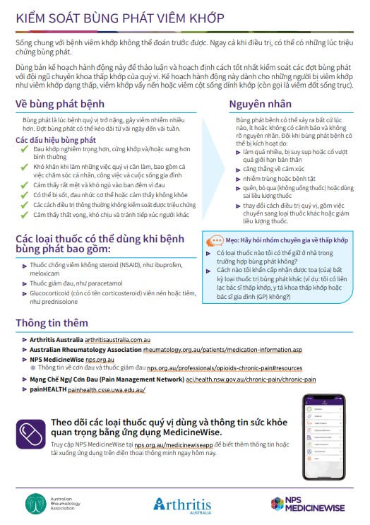 decision-making-aid-translation-vietnamese-managing-your-arthritis-flares