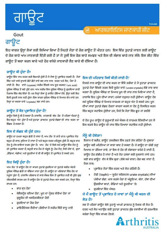 info-sheet-translated-punjabi-gout