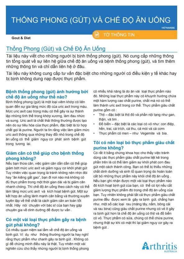 info-sheet-translated-vietnamese-gout-diet