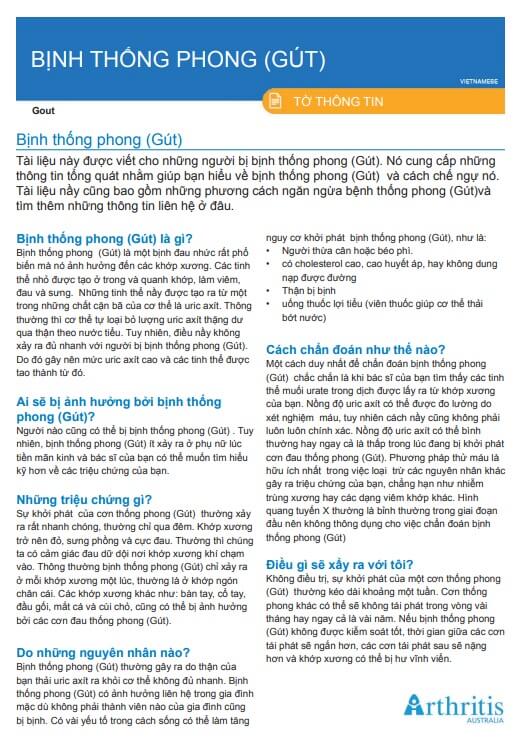 info-sheet-translated-vietnamese-gout