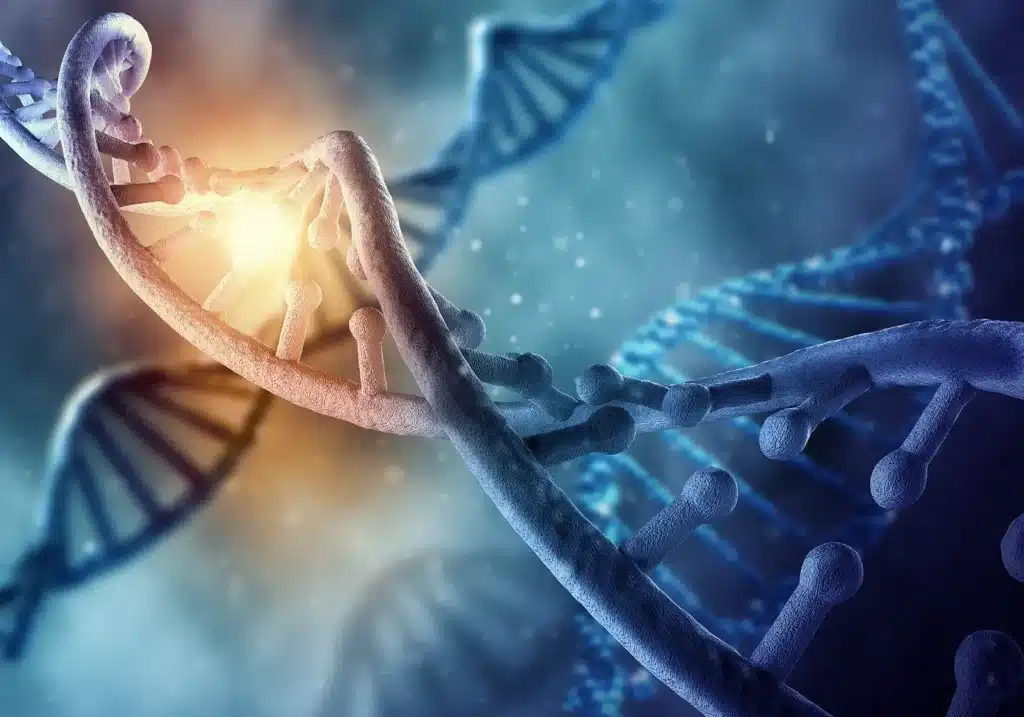 Current Research Studies arthritis australia
