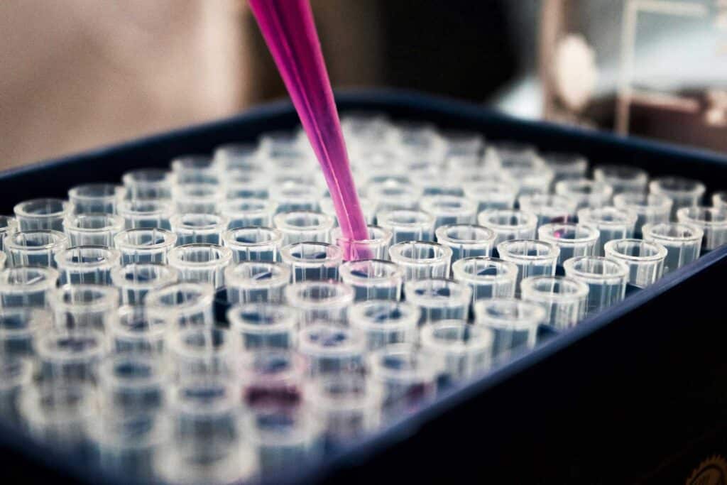 Arthritis australia national research program